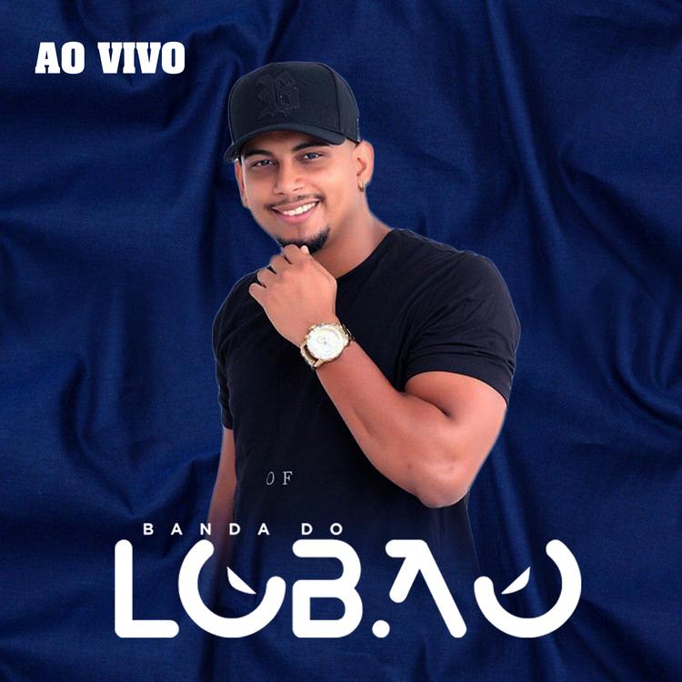 Banda do Lobão's avatar image