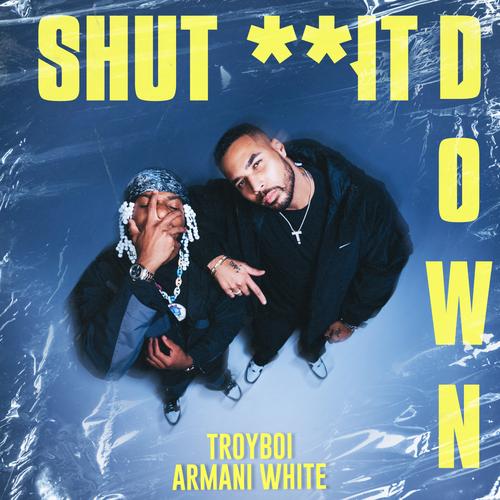 Shut It Down Official TikTok Music TroyBoi Armani White