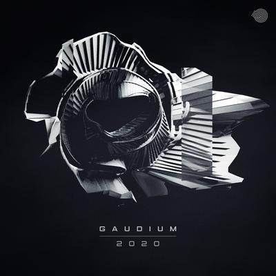 2020 By Gaudium's cover