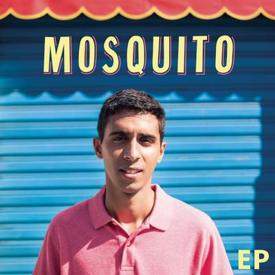 Mosquito's cover