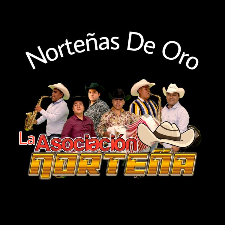 Asociación Norteña's avatar image