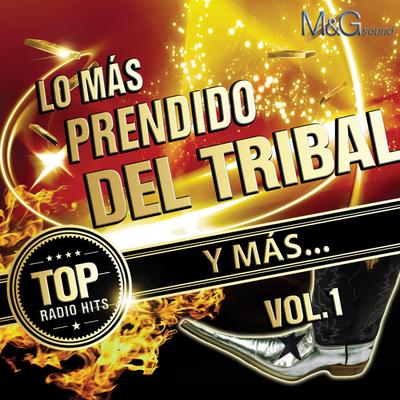 Cumbia Tribalera (feat. Edwin Luna y La Trakalosa de Monterrey & Violento)'s cover