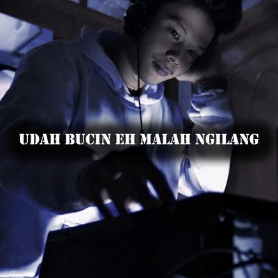 Udah Bucin Eh Malah Ngilang's cover