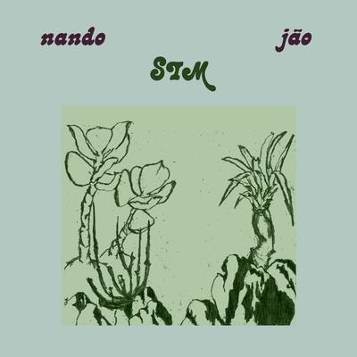 Sim By Nando Reis, Jão's cover