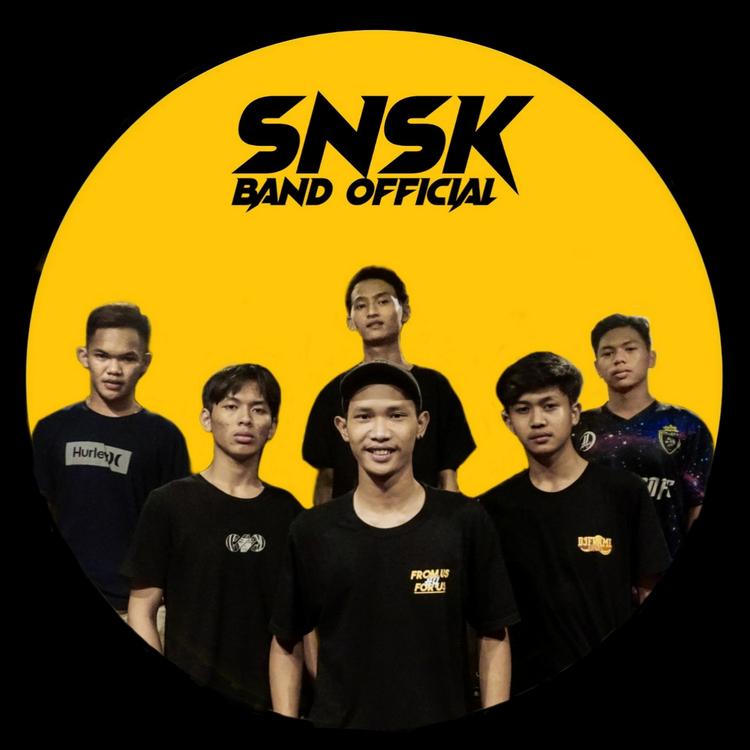 SNSK's avatar image