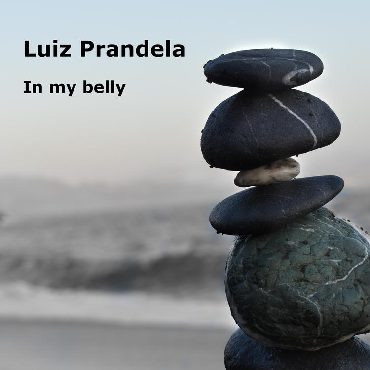 Luiz Prandela's avatar image