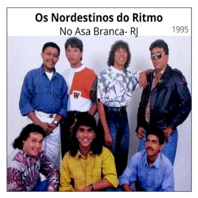 Pelados em Santos - OS NORDESTINOS DO RITMO By Os Nordestinos do Rítmo's cover