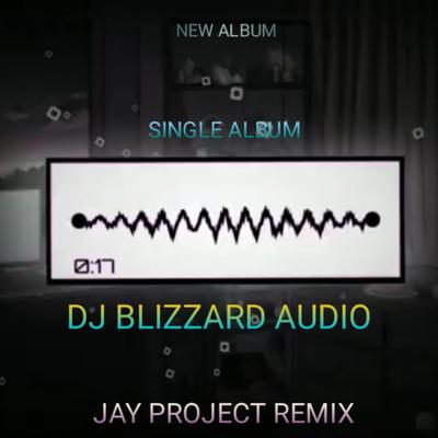 DJ BLIZZARD AUDIO's cover