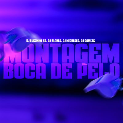 Mtg Boca De Pelo By DJ LUIZINHO ZS, DJ NEGRESKO, DJ Blakes, dj davi zs's cover