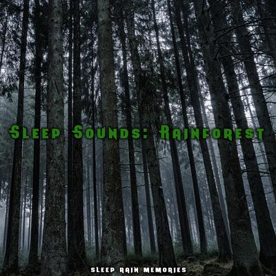 Suara Hujan Untuk Tidur By Sleep Rain Memories's cover