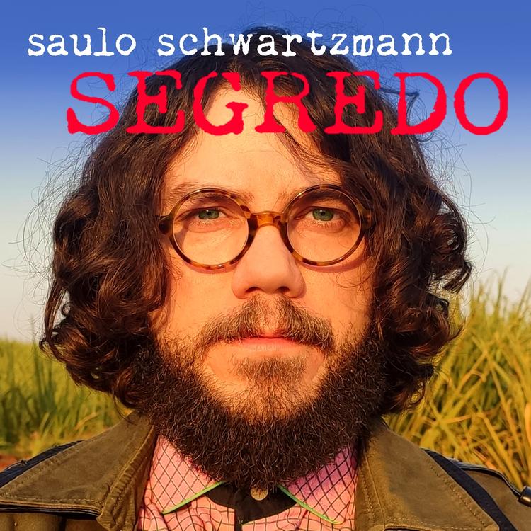 Saulo Schwartzmann's avatar image