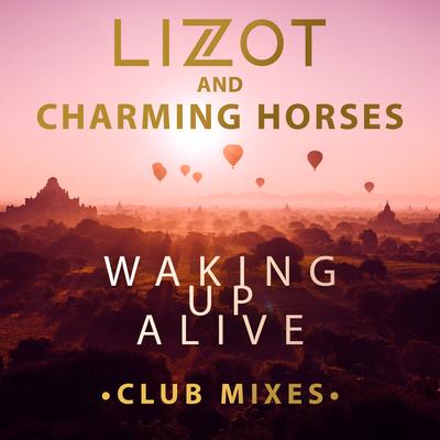 Waking Up Alive (Club Mixes)'s cover