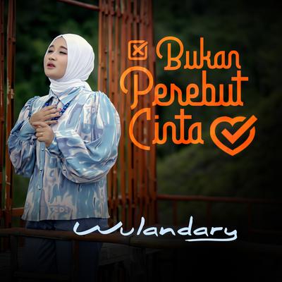 Bukan Perebut Cinta's cover