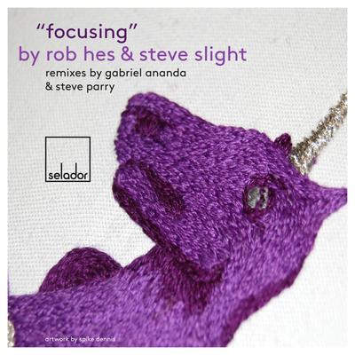 Focusing (Gabriel Ananda Remix) By Rob Hes, Steve Slight's cover