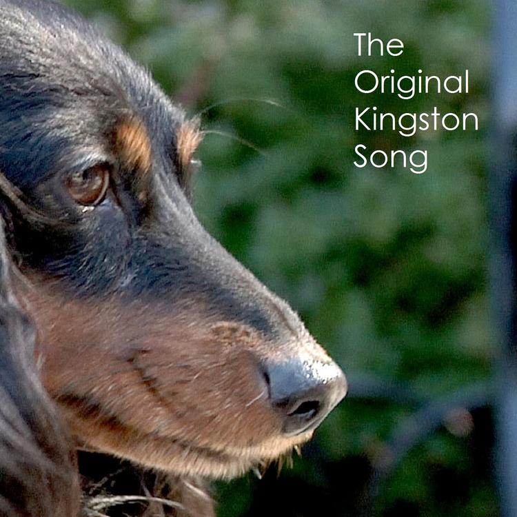 The Original Kingston's avatar image