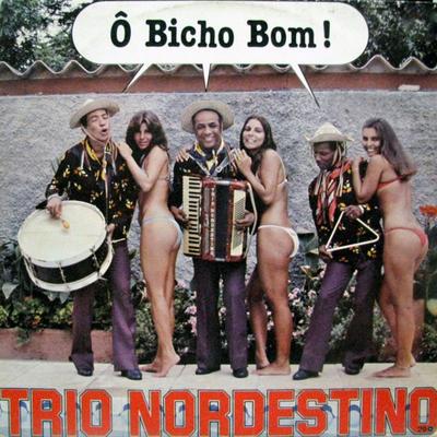 Amor de Doido By Trio Nordestino's cover
