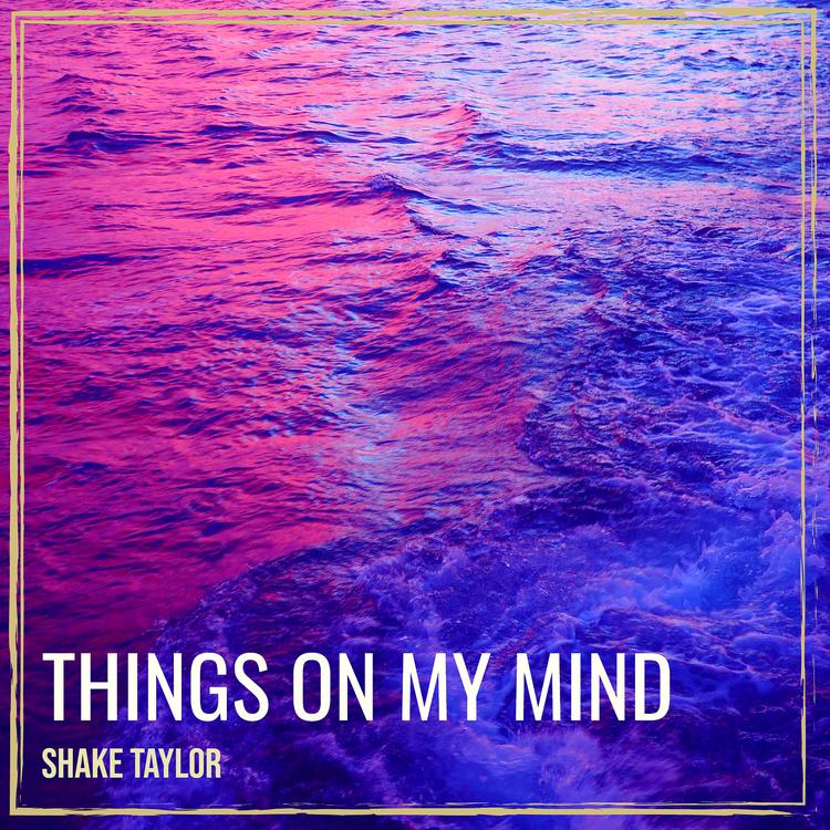 Shake Taylor's avatar image
