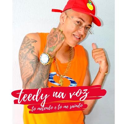 Tô Metendo e Tô Me Saindo By Teedy Na Voz's cover