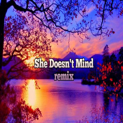 She Doesn't Mind (Remix) By Putra Fvnky, Hloshit's cover