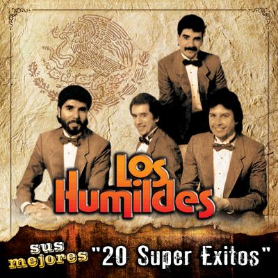 Sus Mejores "20 Super Exitos"'s cover