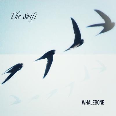 The Swift By Whalebone's cover