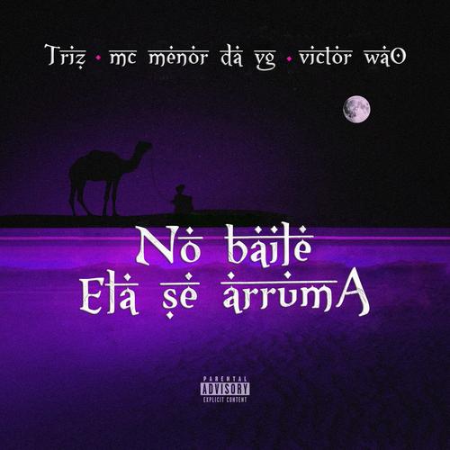 #nobaileelasearruma's cover