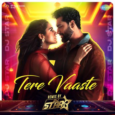 Tere Vaaste - Remix's cover