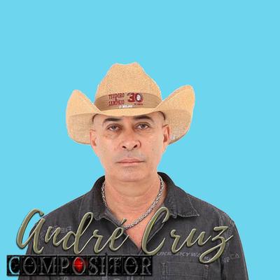 Ladrao de Mulher By Andre Cruz Compositor's cover