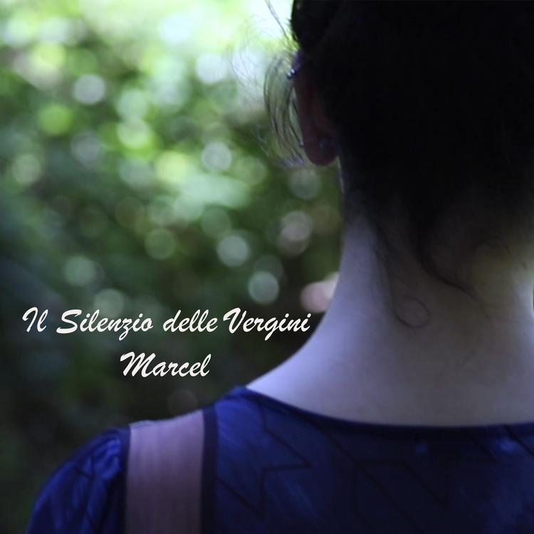 Il Silenzio Delle Vergini's avatar image