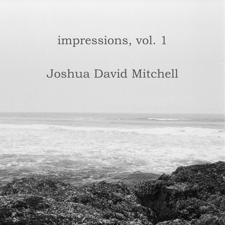 Joshua David Mitchell's avatar image