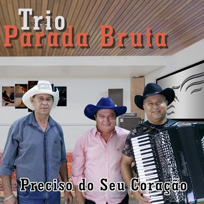 Barra Pesada By Trio Parada Bruta's cover