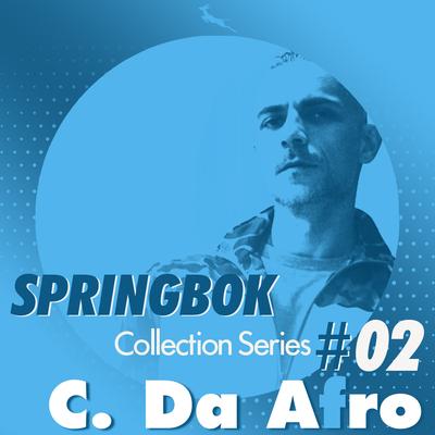 Springbok Collection series #2's cover