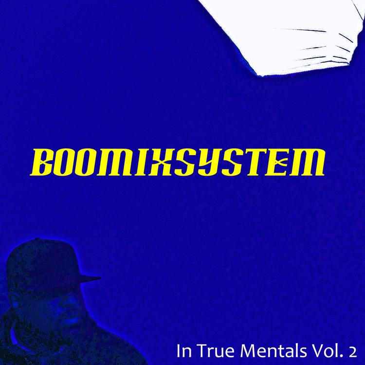 Boomixsystem's avatar image