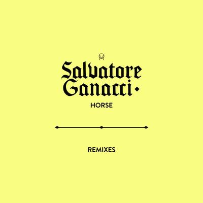 Horse (Cityzen Remix) By Salvatore Ganacci's cover