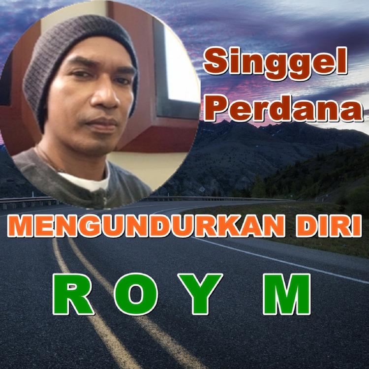 Roy M's avatar image