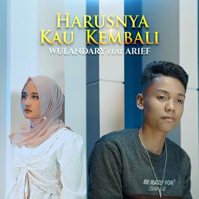 Harusnya Kau Kembali's cover