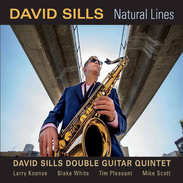 David Sills Double Guitar Quintet's avatar image