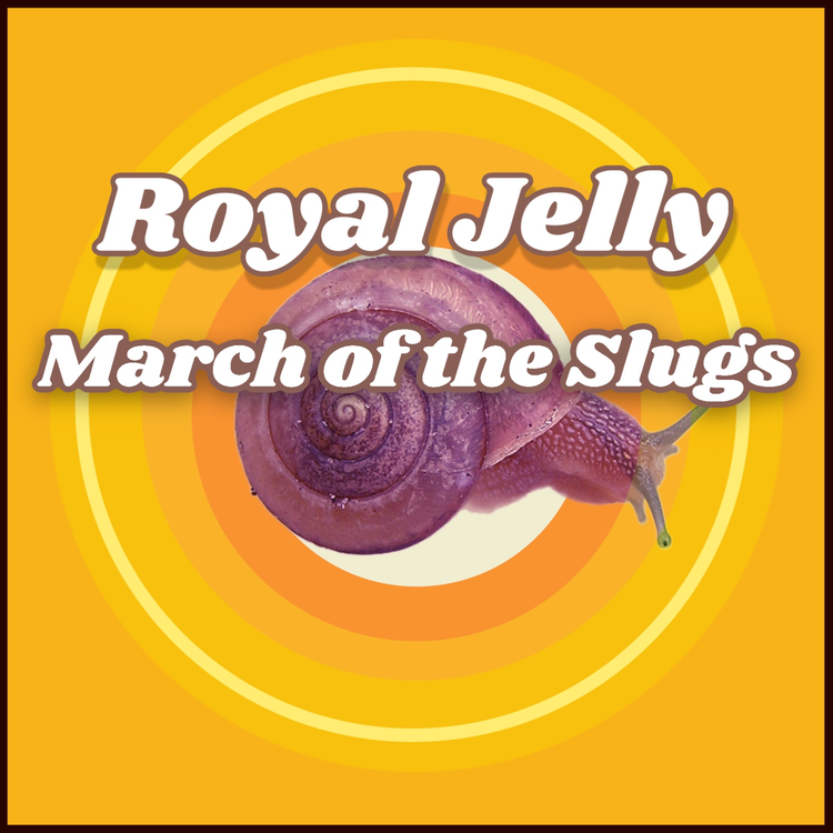 Royal Jelly Music's avatar image