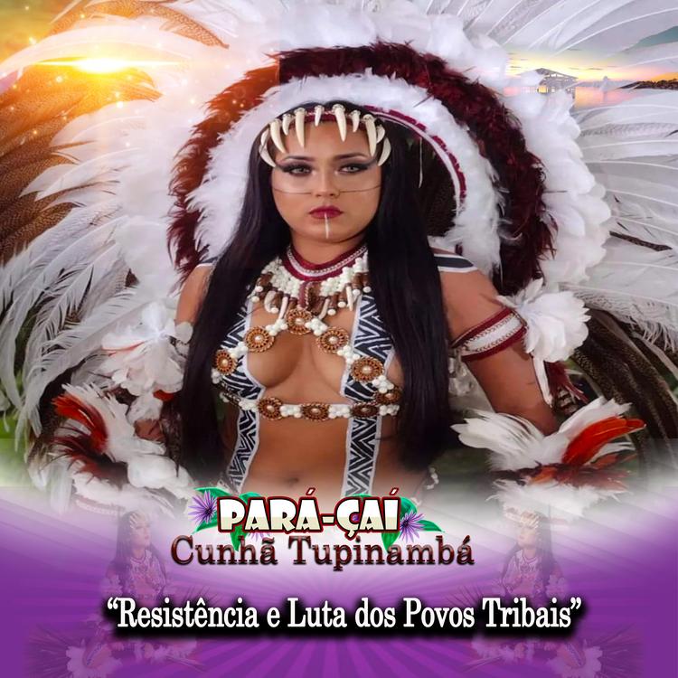 Ponto de cultura Pará-Çaí's avatar image
