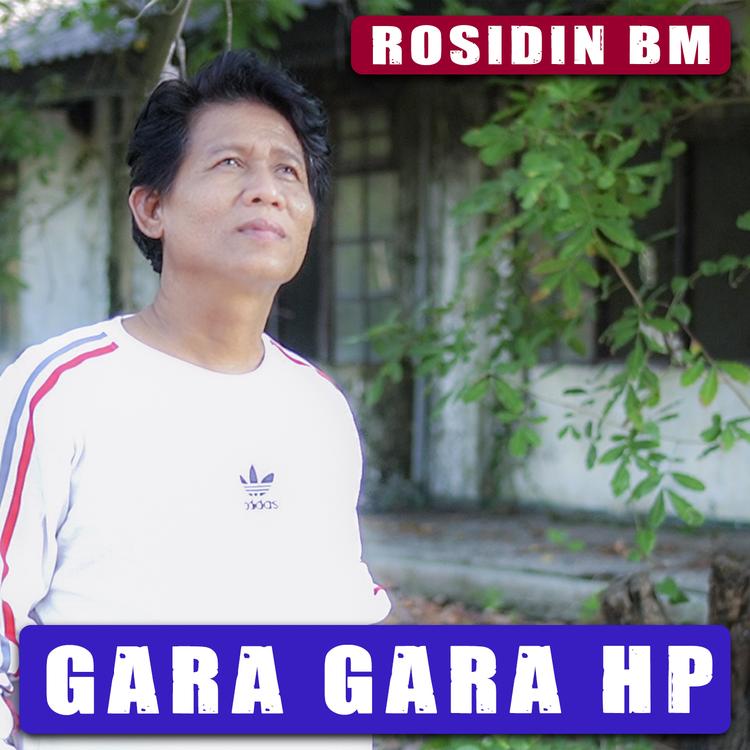 Rosidin Bm's avatar image