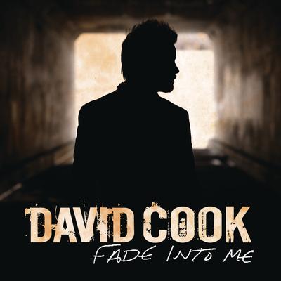 Fade Into Me (Radio Edit)'s cover