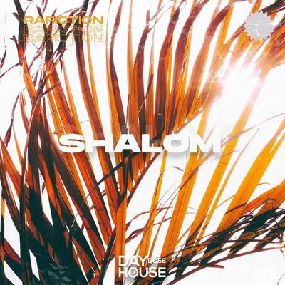 Shalom By Rafiction's cover