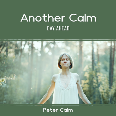 Another Calm Day Ahead's cover