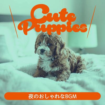 夜のおしゃれなbgm's cover