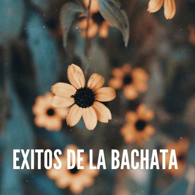Bachata Exitos's cover