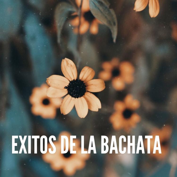 Bachata Exitos's avatar image