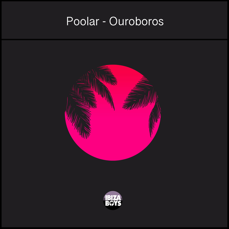 Poolar's avatar image