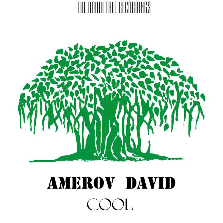 Amerov David's avatar image