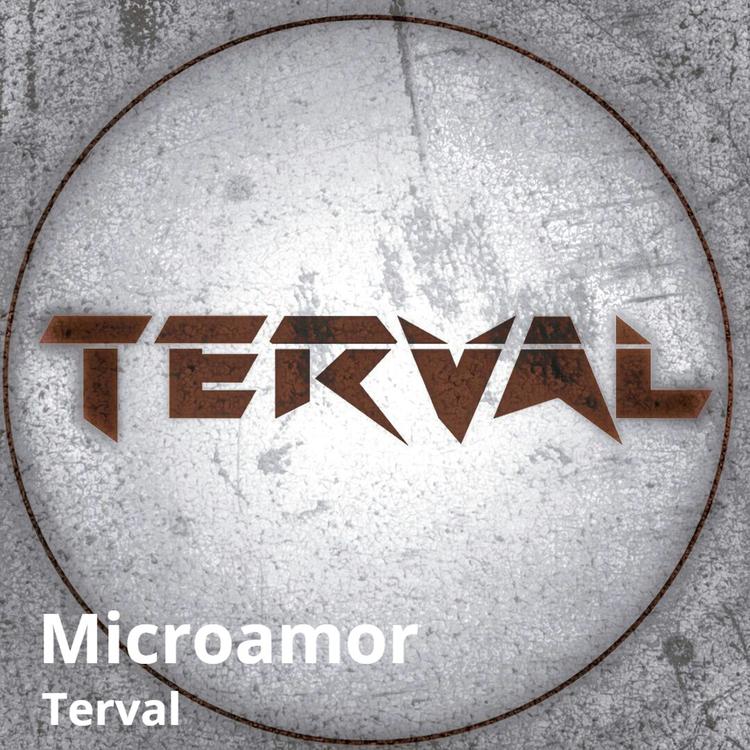 Terval's avatar image