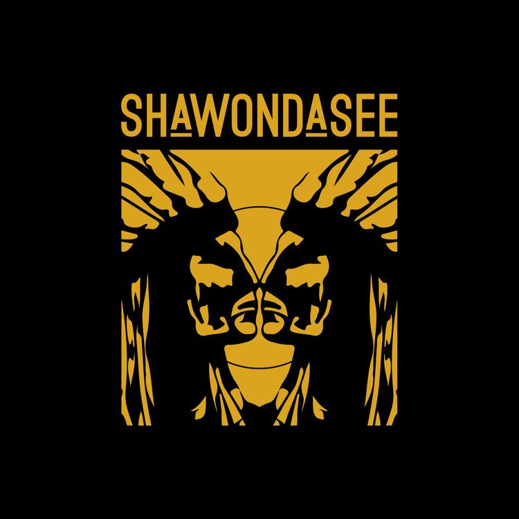 Shawondasee's avatar image